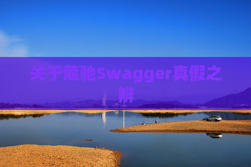 关于蔻驰Swagger真假之辨